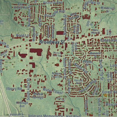 Close-up of the map of Mount Vernon, Illinois print showing street and building detail