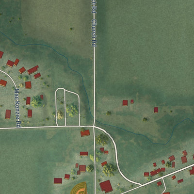 Close-up of the map of Plattville, Illinois print showing street and building detail