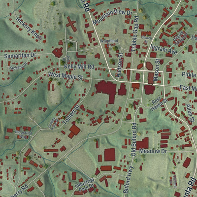 Close-up of the map of Cumming, Georgia print showing street and building detail