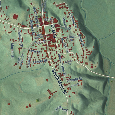 Close-up of the map of Edmonton, Kentucky print showing street and building detail