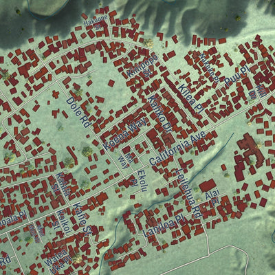 Close-up of the map of Wahiawa, Hawaii print showing street and building detail