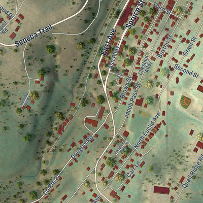 Close-up of the map of Thomas, West Virginia print showing street and building detail