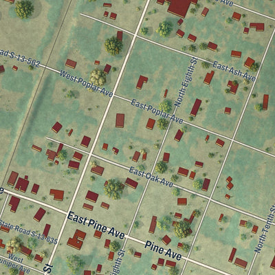 Close-up of the map of McBee, South Carolina print showing street and building detail