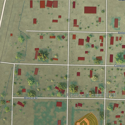 Close-up of the map of Romeo, Colorado print showing street and building detail
