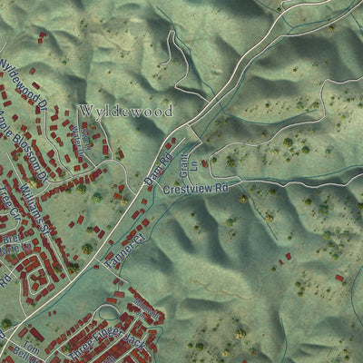 Close-up of the map of Murphys, California print showing street and building detail