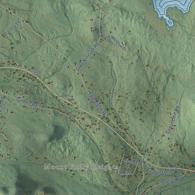 Close-up of the map of Mount Holly, Vermont print showing street and building detail