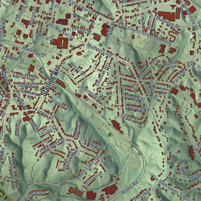 Close-up of the map of Martinsville, Virginia print showing street and building detail