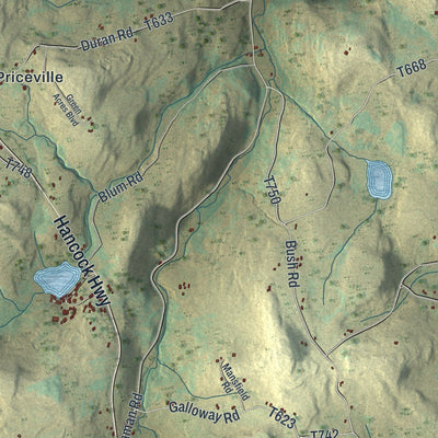 Close-up of the map of Manchester, Wayne County, Pennsylvania print showing street and building detail