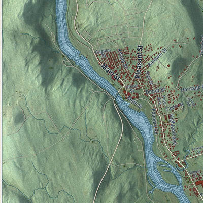Close-up of the map of Livermore Falls, Maine print showing street and building detail