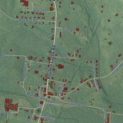 Close-up of the map of Middleton, Tennessee print showing street and building detail