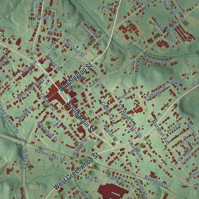 Close-up of the map of Abbeville, South Carolina print showing street and building detail