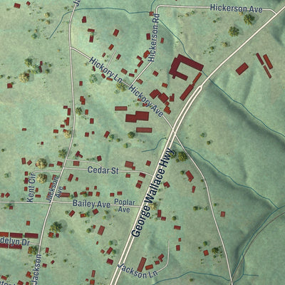 Close-up of the map of Littleville, Alabama print showing street and building detail