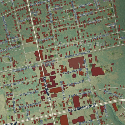 Close-up of the map of Mullins, South Carolina print showing street and building detail