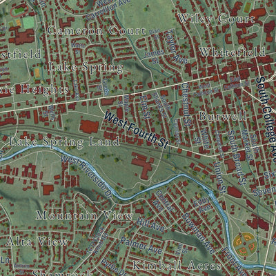 Close-up of the map of Salem, Virginia print showing street and building detail