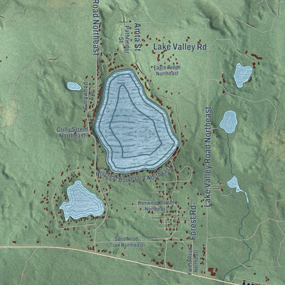 Close-up of the map of Bear Lake, Kalkaska County, Michigan print showing street and building detail