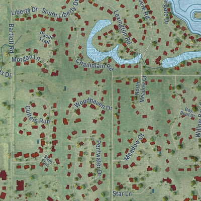Close-up of the map of South Barrington, Illinois print showing street and building detail