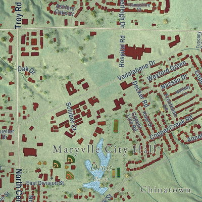 Close-up of the map of Maryville, Illinois print showing street and building detail