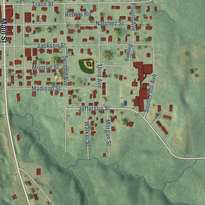 Close-up of the map of Tishomingo, Mississippi print showing street and building detail