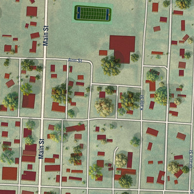 Close-up of the map of Harrison, Nebraska print showing street and building detail