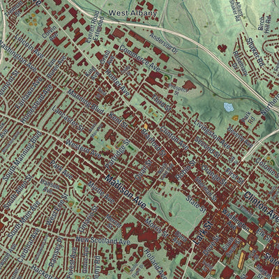 Close-up of the map of Albany, New York print showing street and building detail