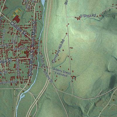 Close-up of the map of the Town of Homer, New York print showing street and building detail