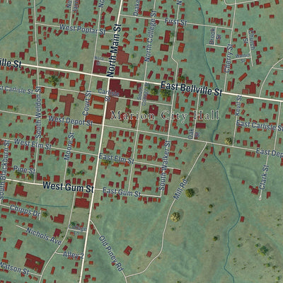Close-up of the map of Marion, Kentucky print showing street and building detail