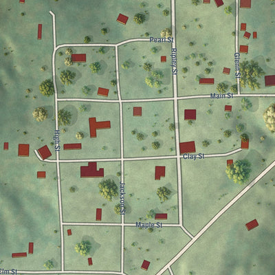Close-up of the map of Ripley, Illinois print showing street and building detail