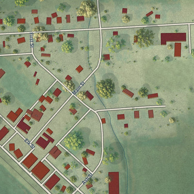 Close-up of the map of Elk Creek, Nebraska print showing street and building detail