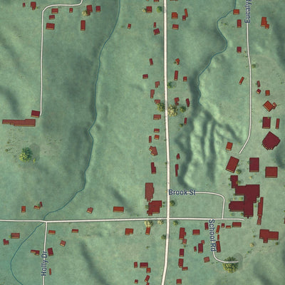 Close-up of the map of Mize, Mississippi print showing street and building detail