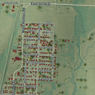 Close-up of the map of Drexel, Missouri print showing street and building detail