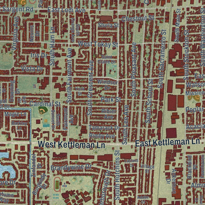 Close-up of the map of Lodi, California print showing street and building detail