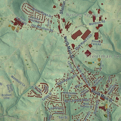 Close-up of the map of Troutman, North Carolina print showing street and building detail