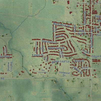 Close-up of the map of Poplar Grove, Illinois print showing street and building detail