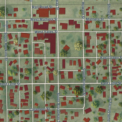 Close-up of the map of Newman, Illinois print showing street and building detail