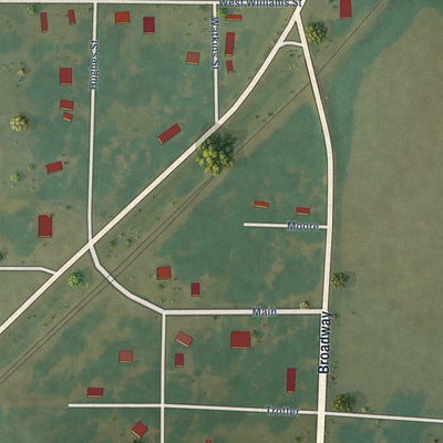 Close-up of the map of Roe, Arkansas print showing street and building detail