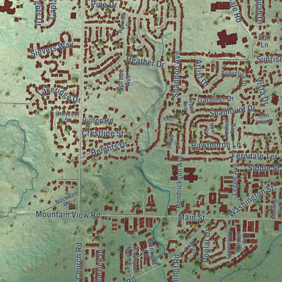 Close-up of the map of Ferndale, Washington print showing street and building detail