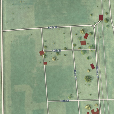 Close-up of the map of Panola, Illinois print showing street and building detail