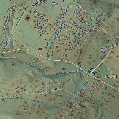 Close-up of the map of Paradise, Monroe County, Pennsylvania print showing street and building detail