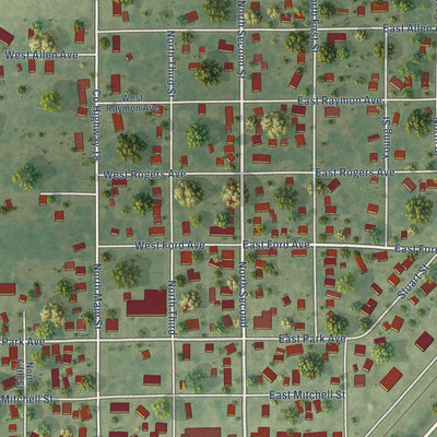 Close-up of the map of Witt, Illinois print showing street and building detail