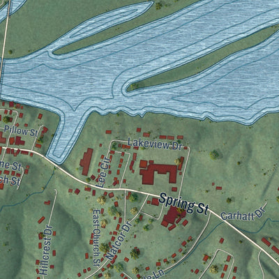 Close-up of the map of Dover, Tennessee print showing street and building detail