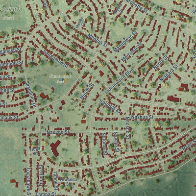 Close-up of the map of Park Forest, Illinois print showing street and building detail