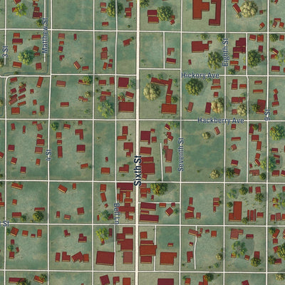Close-up of the map of Mamou, Louisiana print showing street and building detail