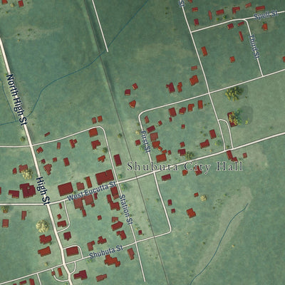 Close-up of the map of Shubuta, Mississippi print showing street and building detail