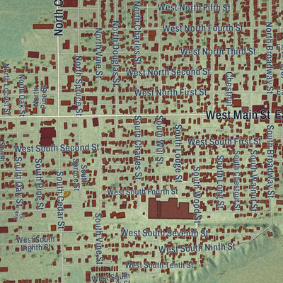 Close-up of the map of Shelbyville, Illinois print showing street and building detail