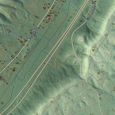 Close-up of the map of Reece City, Alabama print showing street and building detail