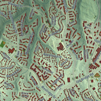 Close-up of the map of Lake Ridge, Virginia print showing street and building detail