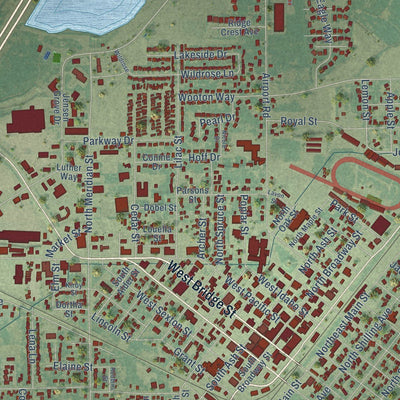 Close-up of the map of Blackfoot, Idaho print showing street and building detail