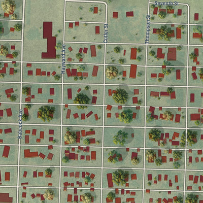 Close-up of the map of Chappell, Nebraska print showing street and building detail