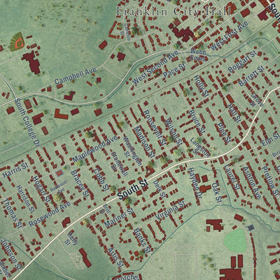 Close-up of the map of Franklin, Virginia print showing street and building detail