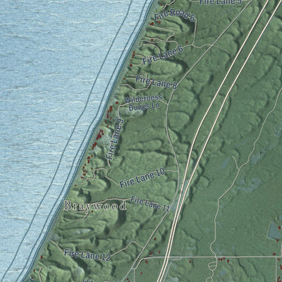 Close-up of the map of Covert, Michigan print showing street and building detail